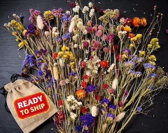 Kit de manualidades con flores silvestres secas, caja grande – Kit para hacer ramos de flores tú mismo, flores orgánicas