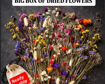 Peut inclure: Une grande collection de fleurs séchées aux teintes vives de jaune, violet, rouge, orange et blanc, présentant diverses textures et tiges. Un petit pochon beige à cordon avec une étiquette rouge portant l'inscription Ready To ship.