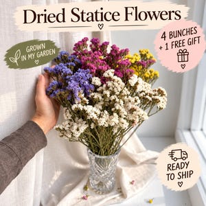 May include: A bouquet of dried statice flowers in shades of purple, white, pink, and yellow arranged in a clear glass vase. The image includes text reading Dried Statice Flowers, Grown in My Garden, 4 Bunches + 1 Free Gift, and Ready to Ship.