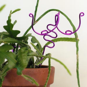 Chestnut Sprouts Bouncing Indoor plant Stake. House plant decor. Plant bling. Plant pal. Indoor plant trellis. Plant support. Pick Stick