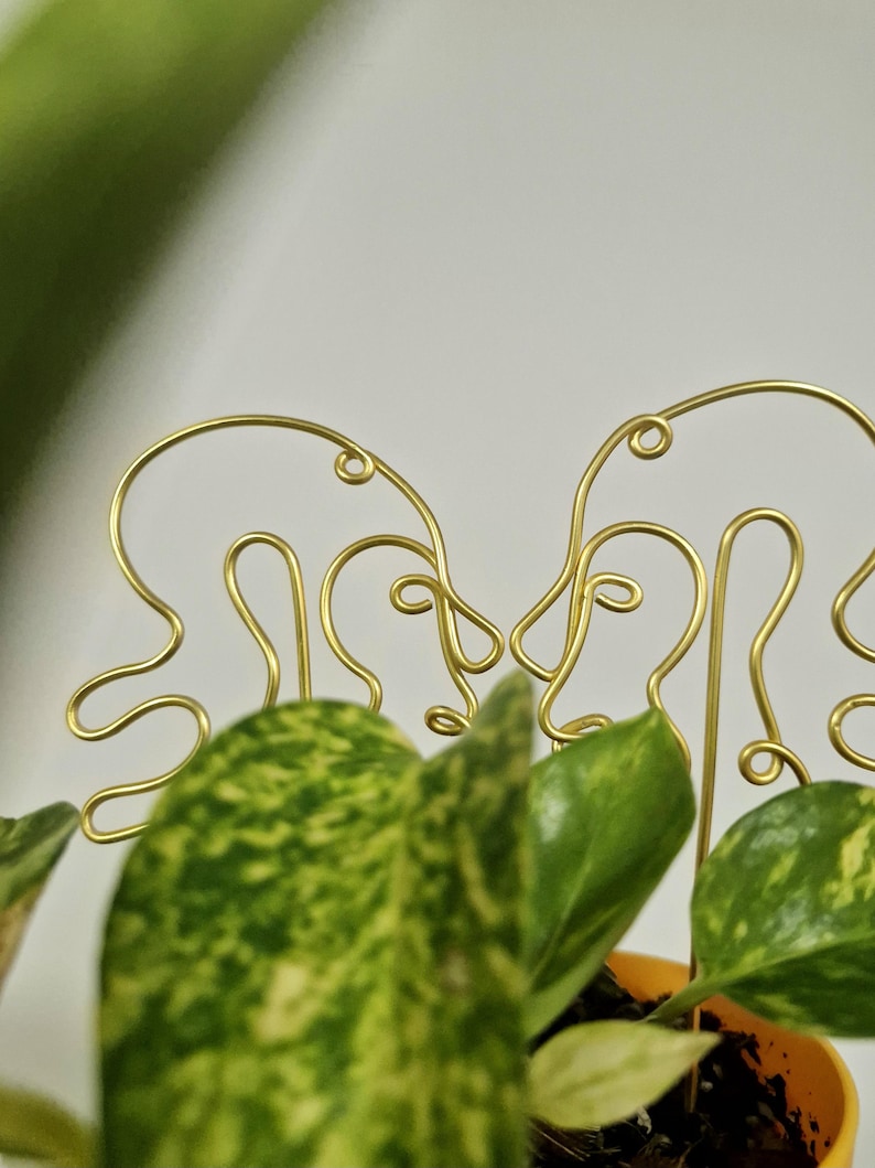 May include: Gold wire plant stakes shaped like abstract faces, used to support a potted plant with green and yellow leaves.