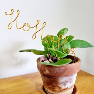 HOHOHO wire plant stake. Indoor plant Decor. House plant decor. Plant bling. Plant pal. Indoor plant trellis. Plant support.