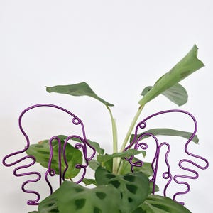 May include: Purple metal plant supports shaped like abstract faces, holding up a green leafy plant.