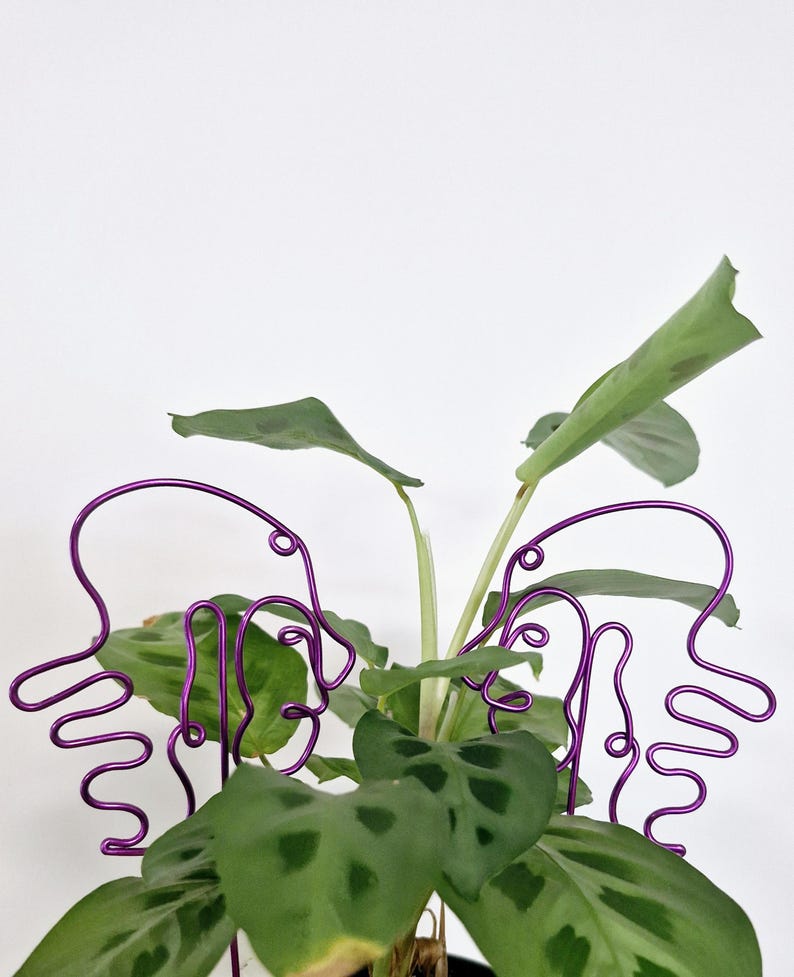 May include: Purple metal plant supports shaped like abstract faces, holding up a green leafy plant.