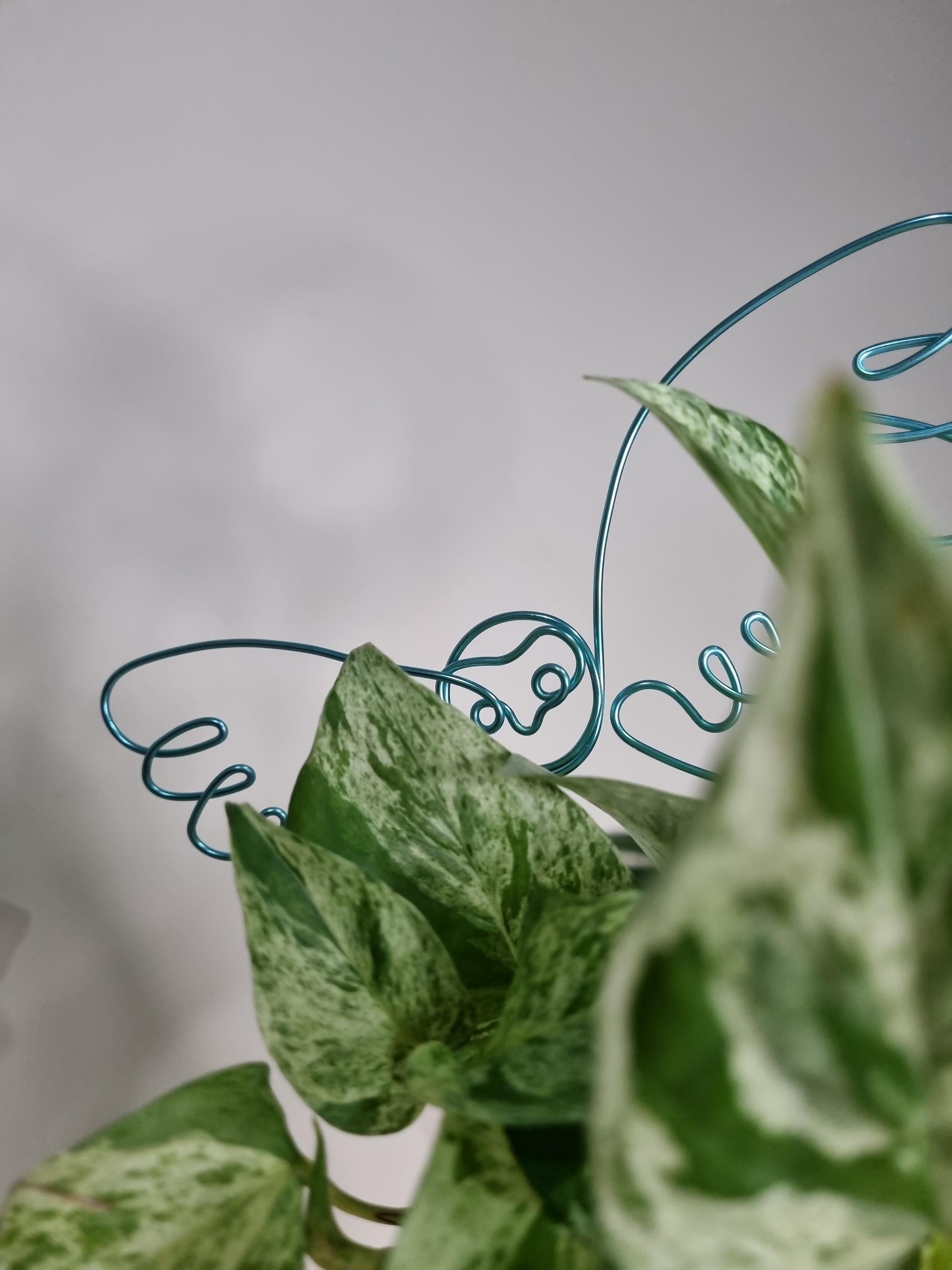 Why Are Owls So Handy Wire Plant Stake. Indoor Decor. House Decor. Plant Bling. Pal. Trellis. Support Etsy - Plantasticbydaley