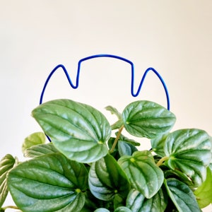VAMP it up wire plant stake. Indoor plant Decor. House plant decor. Plant bling. Plant pal. Indoor plant trellis. Plant support.