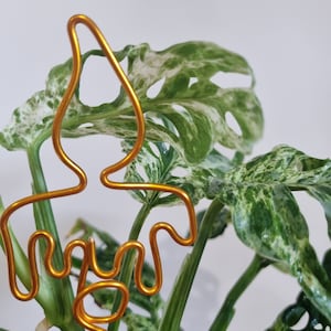 Christmas candle wire plant stake. Indoor plant Decor. House plant decor. Plant bling. Plant pal. Indoor plant trellis. Plant support.