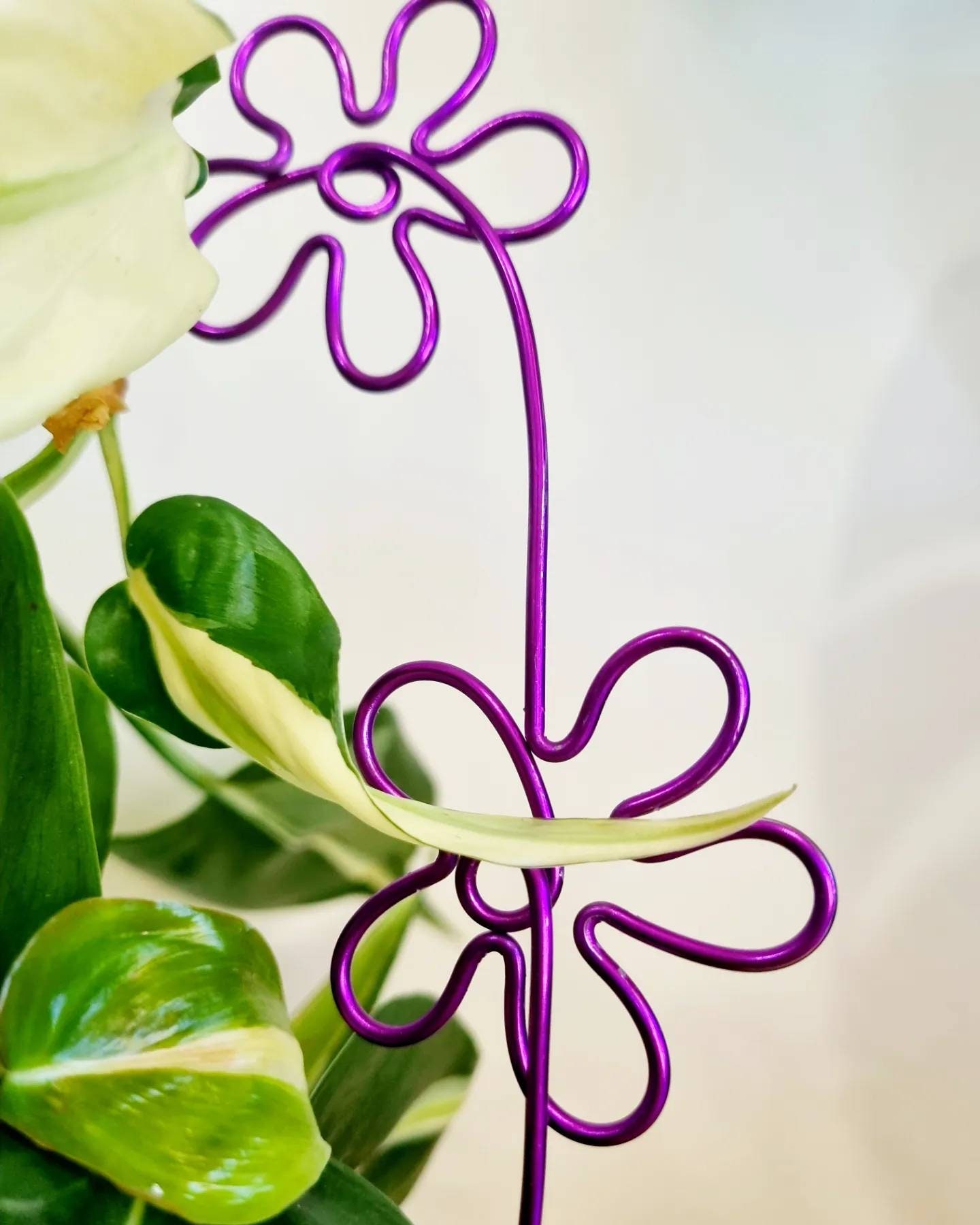 That's Groovy Wire Plant Stake. Indoor Decor. House Decor. Plant Bling. Pal. Trellis. Support Etsy - Plantasticbydaley