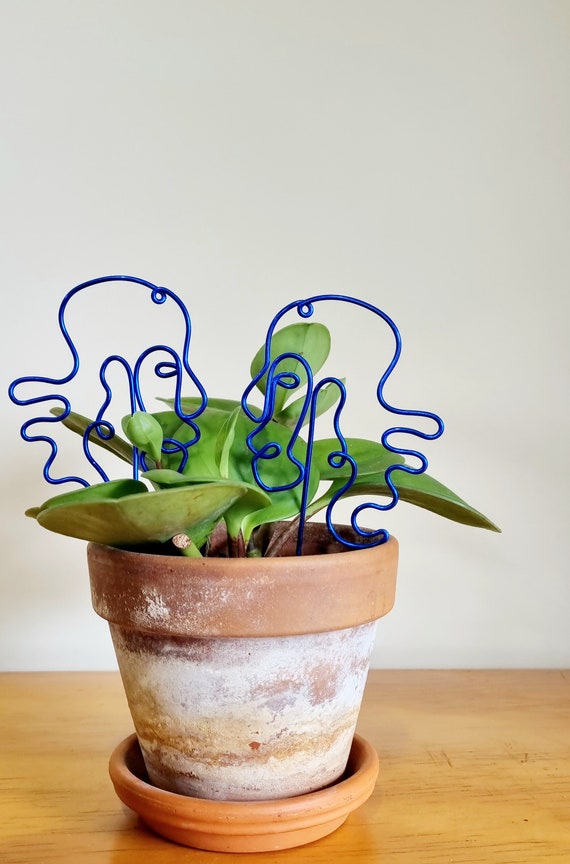 The Twin Tendril Gemini Zodiac Plant Stake Plant Stick. Plant Pal. Garden Goodies. Houseplant decor. Plant bling. Indoor Plant accessory.
