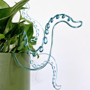 The OCTO-plant wire plant stake. Indoor plant Decor. House plant decor. Plant bling. Plant pal. Indoor plant trellis. Plant support.