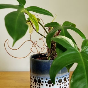 Rooted in Taurus Zodiac Indoor Plant Stake. Plant accessory. Garden Decor. Plant Pal. Plant Stick. In The Stars Gift.