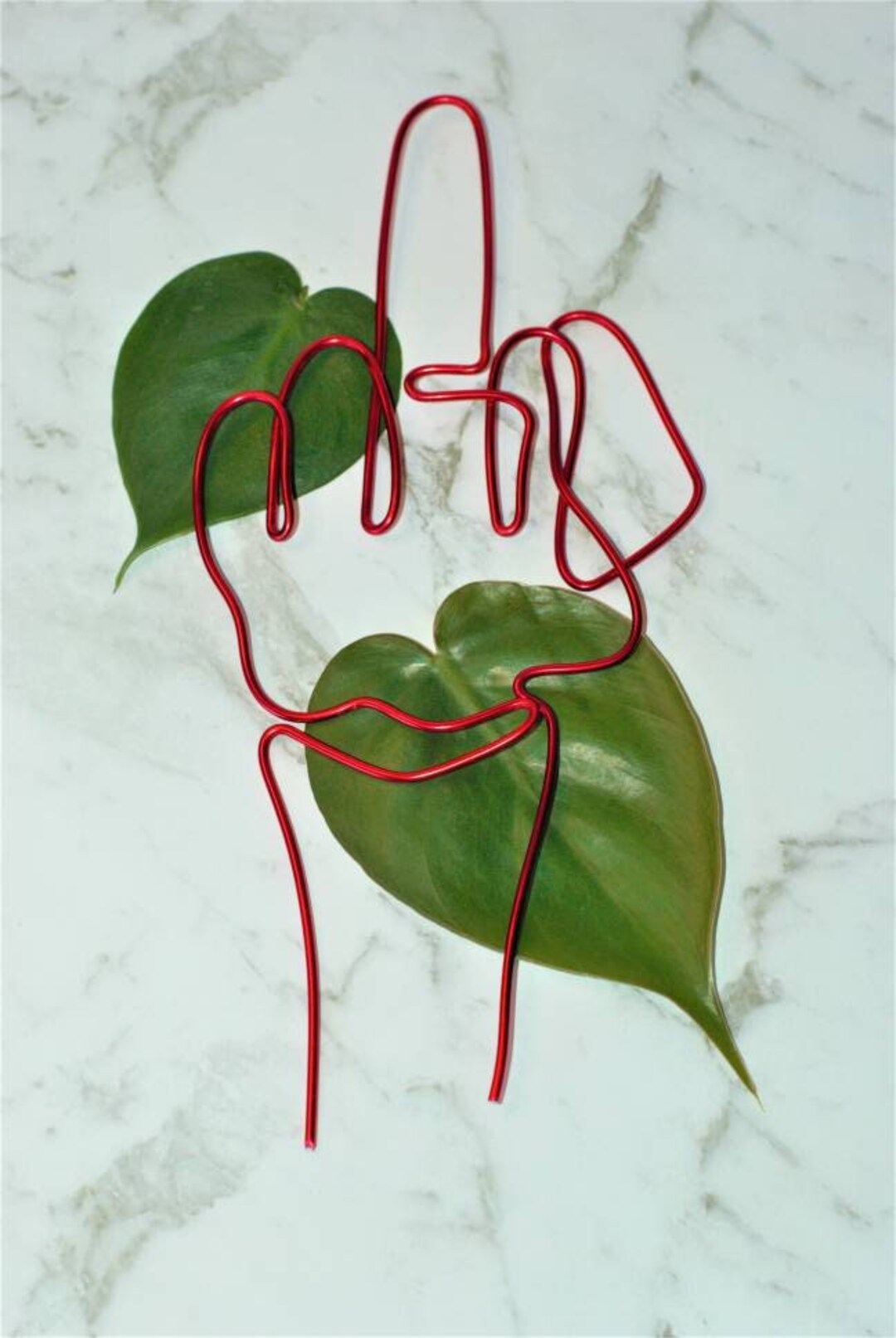 Ficus off Plant Stake – A Hands-on Way to Say It With Style! - Etsy ...