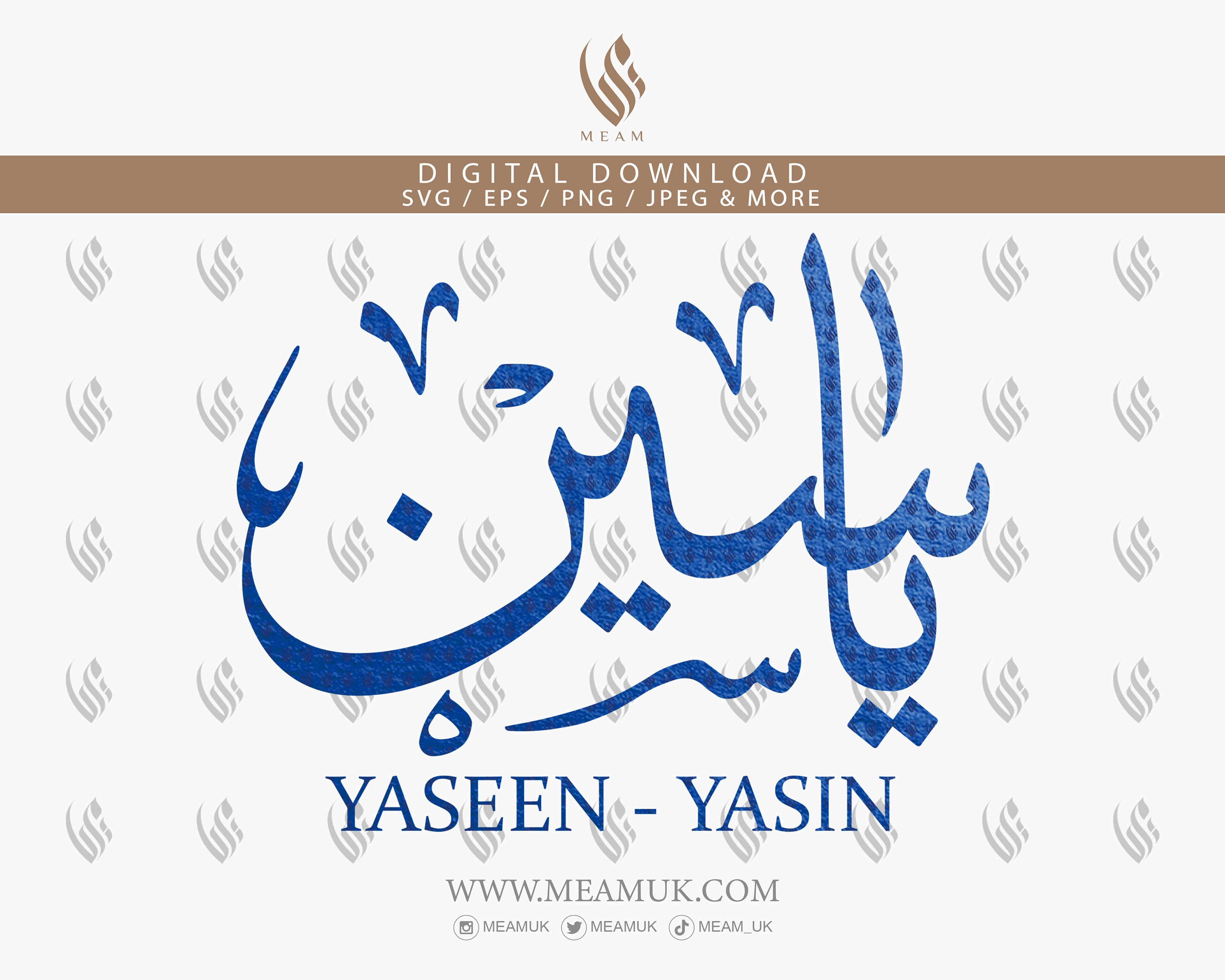 Yaseen Foundation - c7i3p2e