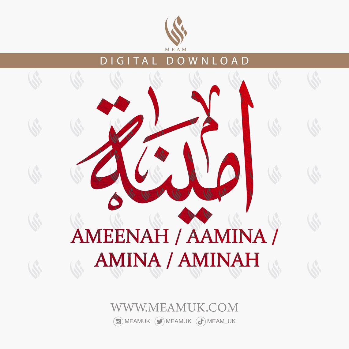 Ameena Amina Aaminah Ameenah in Arabic Name SVG Digital Etsy