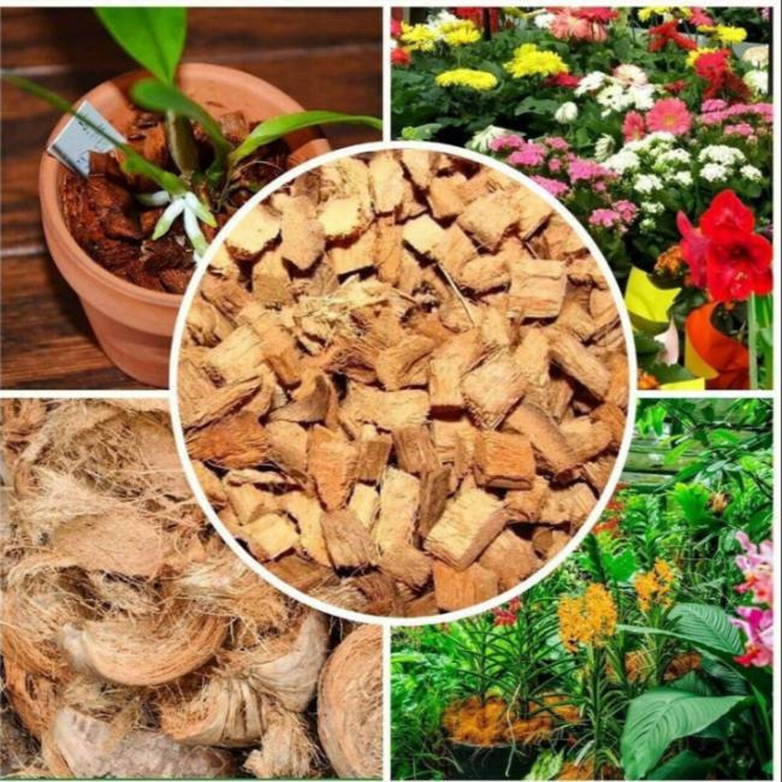 Coconut Husk Chips Coconut chips for Plants Natural Eco Etsy