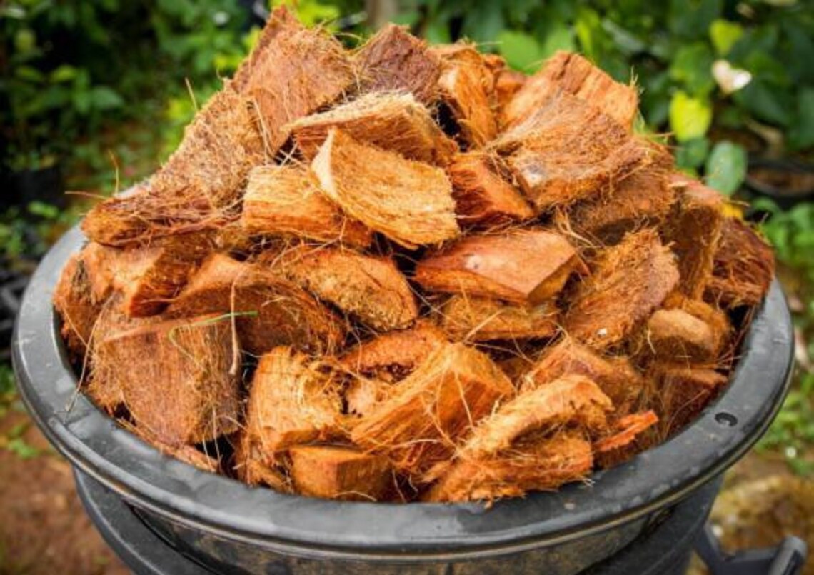 Coconut Husk Chips Coconut chips for Plants Natural Eco Etsy
