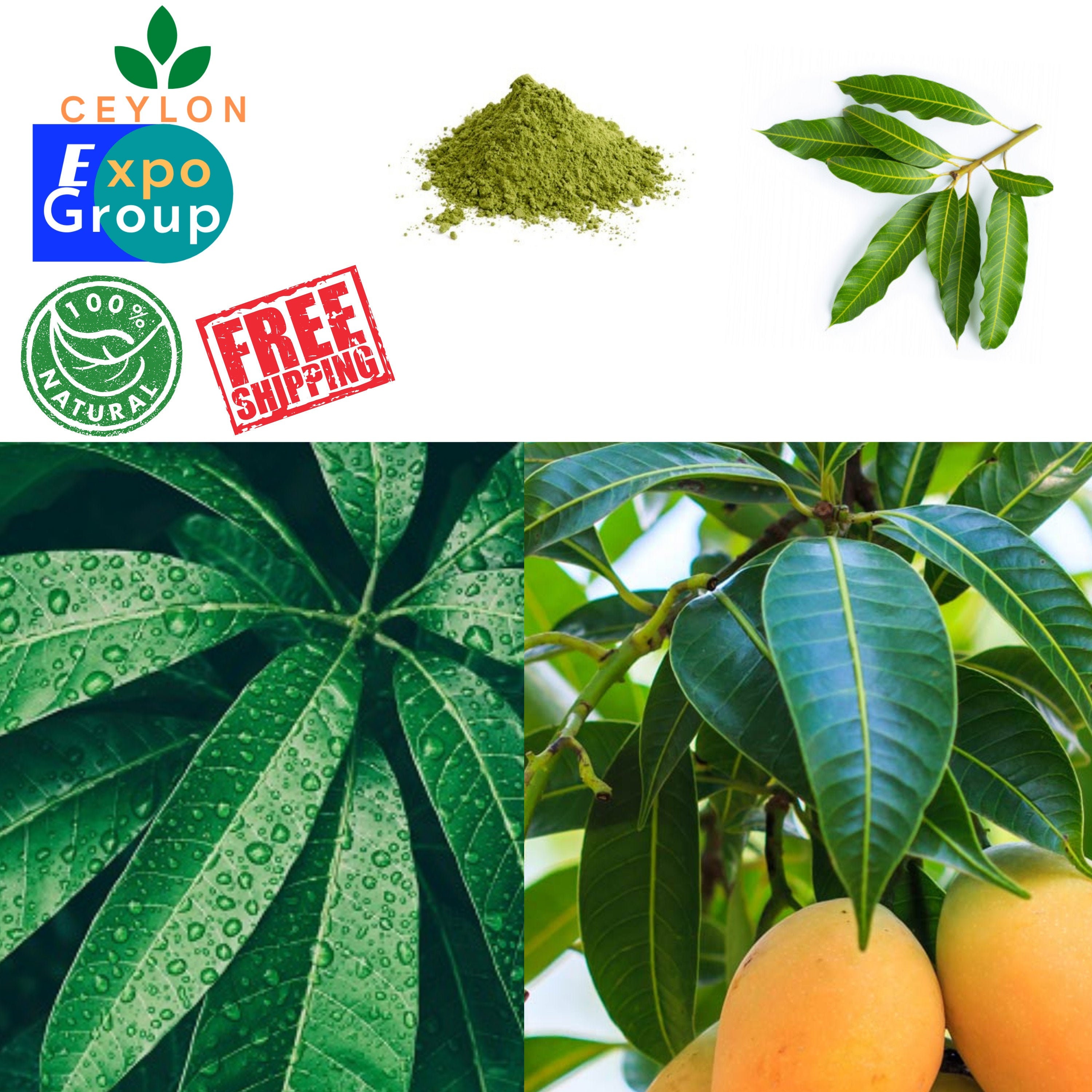 Air Dried Mango Leaves Powder Pure High Quality Organic Ceylon Etsy