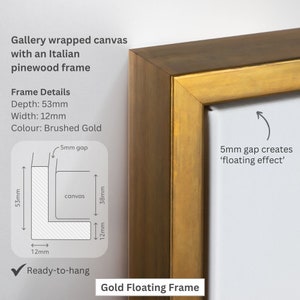 May include: A gold floating frame with a 53mm depth and 12mm width. The frame is made of Italian pinewood and has a brushed gold finish. The frame creates a 5mm gap between the canvas and the frame, which gives the artwork a floating effect. The frame is ready to hang.