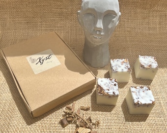 Prophecy luxury wax melts Inspired by Creed
