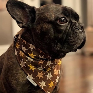 Sheriff Star Dog Bandana, Double Sided Scrunchie Style