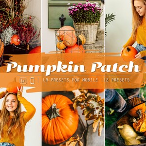 May include: A collection of 12 Lightroom presets for mobile devices, designed to enhance photos with a warm, autumnal feel. The presets are perfect for capturing the beauty of fall foliage, pumpkins, and other seasonal elements. The image features a variety of pumpkins, fall leaves, and a person wearing a warm orange sweater.