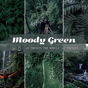 12 Mobile Lightroom Presets, Moody Green, instagram presets, moody presets, mobile presets, dark preset, lightroom presets, influencer photo