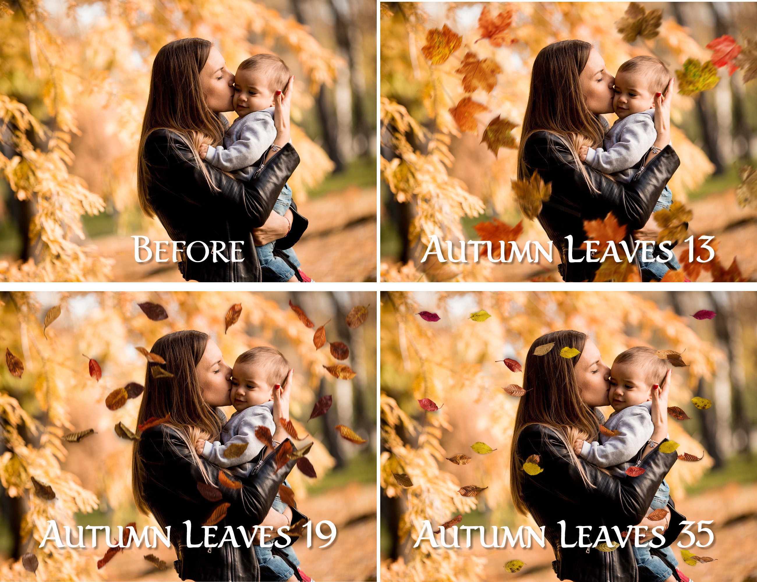 40 Autumn Leaves Overlays 40 Pn Overlays Photo Overlays - Etsy