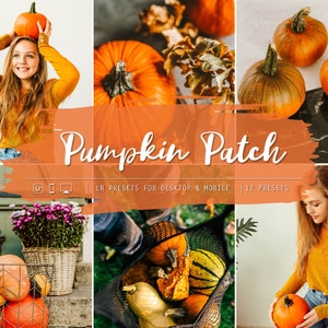 12 Mobile & Desktop Lightroom Presets, Pumpkin Patch, instagram presets, warm presets, desktop presets, natural presets, autumn presets