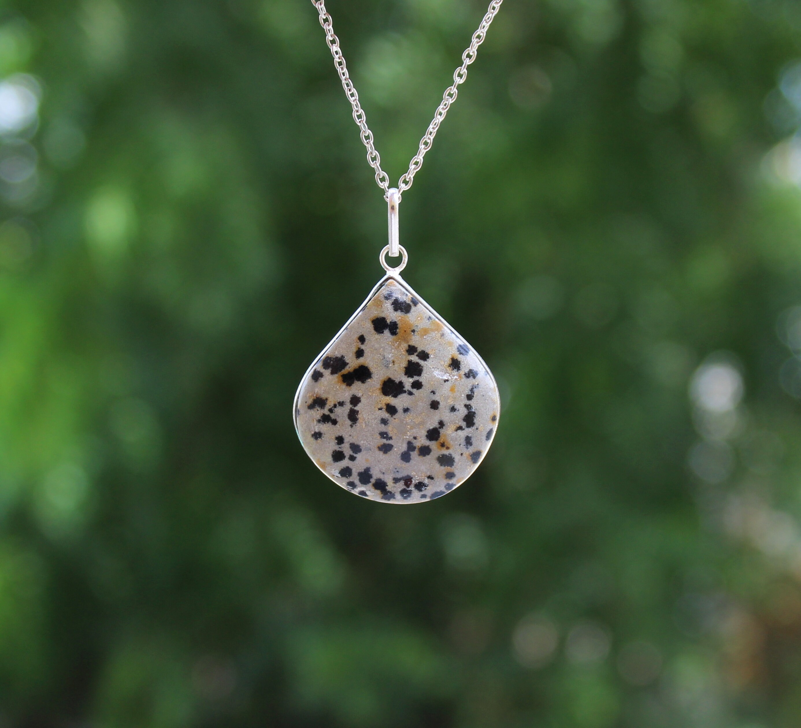 Dalmatian 2024 jasper necklace