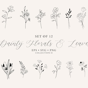 Conjunto de 12 svg florales delicados, svg de hoja delicada, paquete de svg floral minimalista, paquete de svg wildflowers, hojas dibujadas a mano svg, vector de líneas limpias