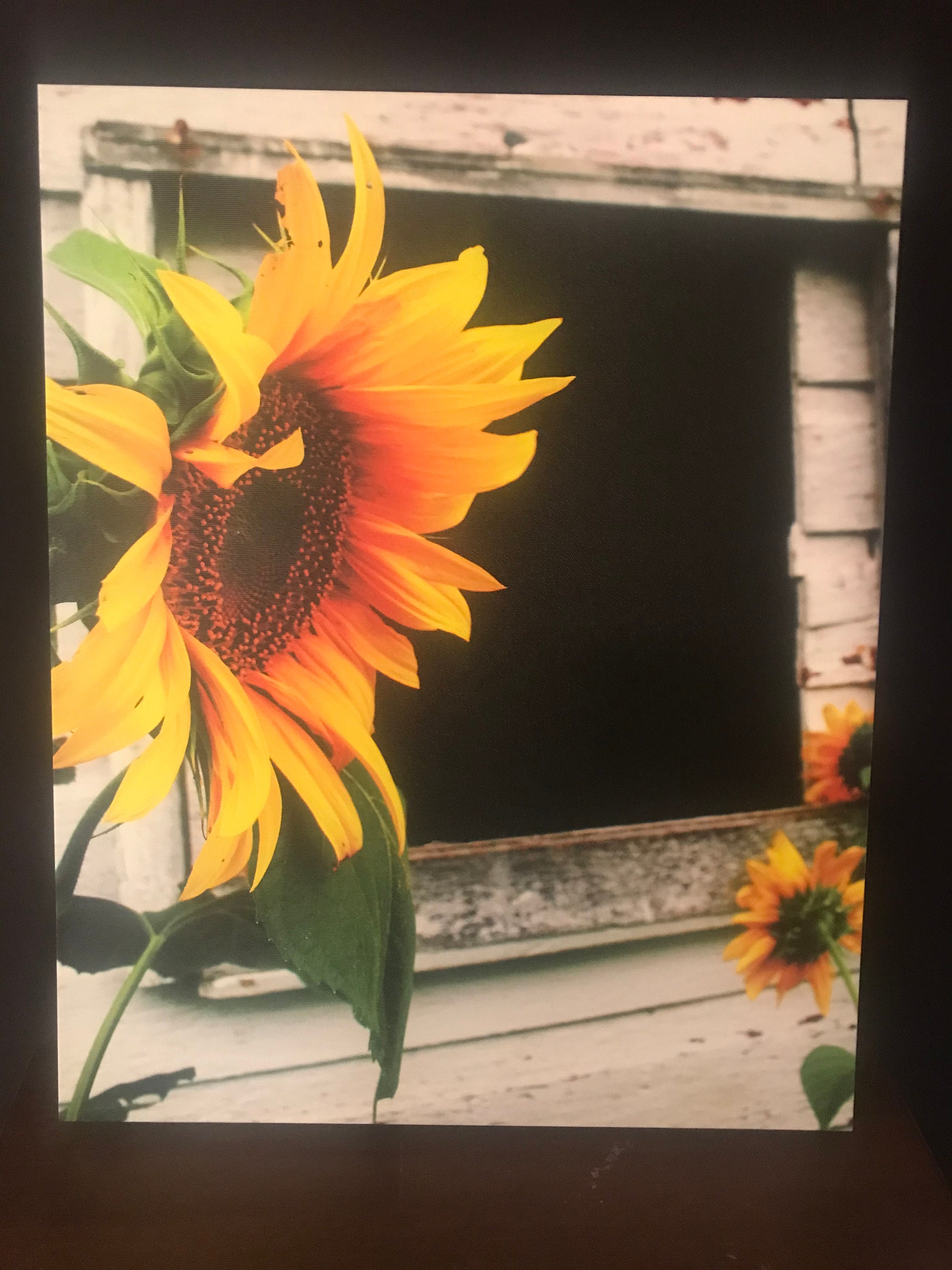 Sunflower canvas Etsy