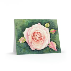 Full Bloom Pink Rose Original Watercolor Print Greeting cards (8, 16, and 24 pcs)