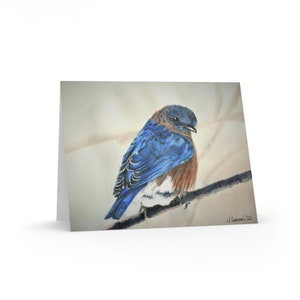 Bluebird Original Watercolor Print Greeting Cards Wildlife Art Card Bird Notecard Stationery
