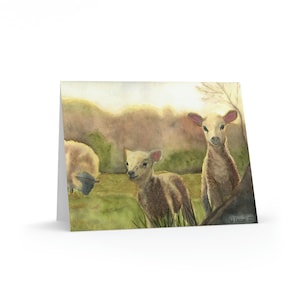 Lambs Original Watercolor Print Greeting Cards Sheep Notecard Stationery