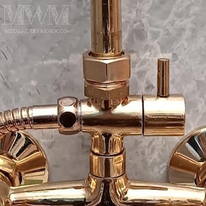 Puede incluir: Grifo de ducha dorado con una manija de palanca y una conexi&oacute;n de manguera. El grifo tiene un acabado pulido y est&aacute; hecho de metal.