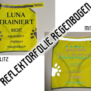 Personalisierte Hunde-Warnweste Hund im Training personalisiert Bild 9