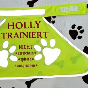 K&ouml;nnte beinhalten: Eine leuchtend gr&uuml;ne Hundetraining-Weste mit reflektierendem Besatz. Die Weste hat wei&szlig;e Pfotenabdr&uuml;cke und den Text "HOLLY TRAINIERT NICHT *streicheln* *spielen* *ansprechen*" in Braun.