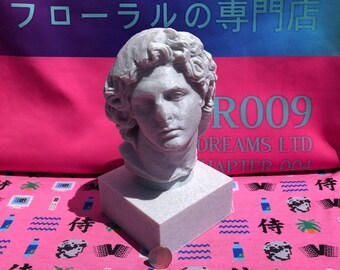Floral Shoppe Macintosh Plus | eBay