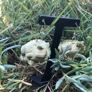 Garten Kröte Ohrringe