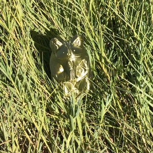 May include: A golden frog figurine sits amidst tall green grass. The frog is detailed with visible eyes and a textured surface, catching the sunlight. The figurine is a decorative item, possibly for a garden or home decor.