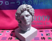 Vaporwave Floral Shoppe Macintosh Plus Helios Bust - Etsy