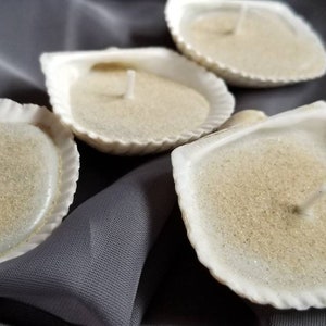 Peut inclure: Plusieurs bougies en forme de coquillage blanc, remplies d'une substance sablonneuse et d'une mèche centrale. Les bougies sont disposées sur un fond de tissu gris. Les coquillages ont un bord strié.