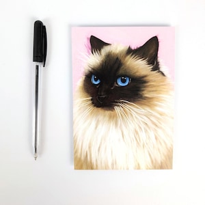 Heilige Birmaan kat / Ansichtkaart met kat / Din A 6 / Staand formaat / 300 g papier / matte print / Wenskaart met schattige kat / Kat