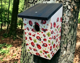 Ladybird and Clover Bird Box, Ladybird Bird Box, Ladybird Nesting Box, Ladybird Garden Decorations, Ladybird Gifts, Clover Garden Decoration