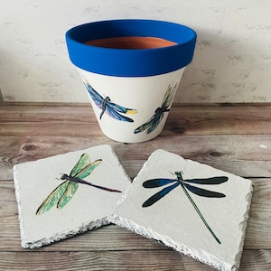 Dragonfly Flower Pot & Dragonfly Coasters Dragonfly Gifts Dragonfly Plant Pot Sragonflies