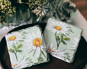 Daisy Coasters, White Flower Coasters, Flower Coasters, Daisies, Daisy Gifts, Flower Gifts, Daisy Decorations, Sage Green Coasters, Natural