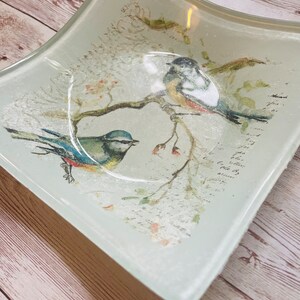 May include: A white glass dish with a curved edge features a delicate design of two bluebirds perched on a branch with white blossoms. The background is a light green with a subtle white pattern.