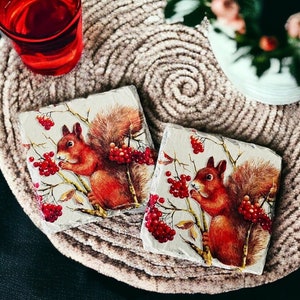 May include: Two square slate coasters featuring a red squirrel illustration eating red berries. The coasters have a light grey background and are on a beige woven mat. A glass of red liquid is visible.