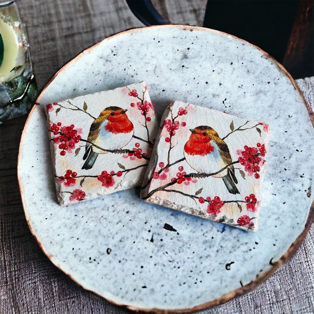 Robin Gift Set Set of 4 Robin Coasters, Christmas Coasters, Robin Gifts, Robin ...