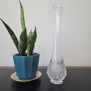 May include: A clear glass bud vase with a diamond pattern. The vase is tall and slender with a rounded bottom.